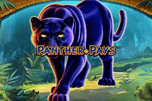 Panther Pays - GOODGAMING138