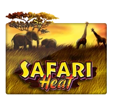 Safari Heat - GOODGAMING138