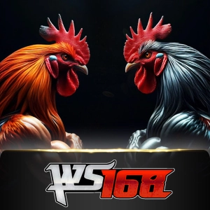 Ws168 Sabung - GOODGAMING138