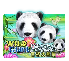 Wild Giant Panda - GOODGAMING138