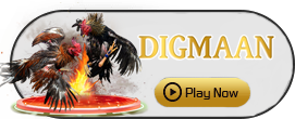 Digman - GOODGAMING138
