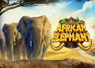 African Elephant - GOODGAMING138